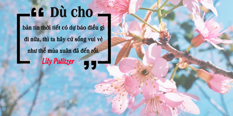 cham-ngon-cuoc-song-voh-5