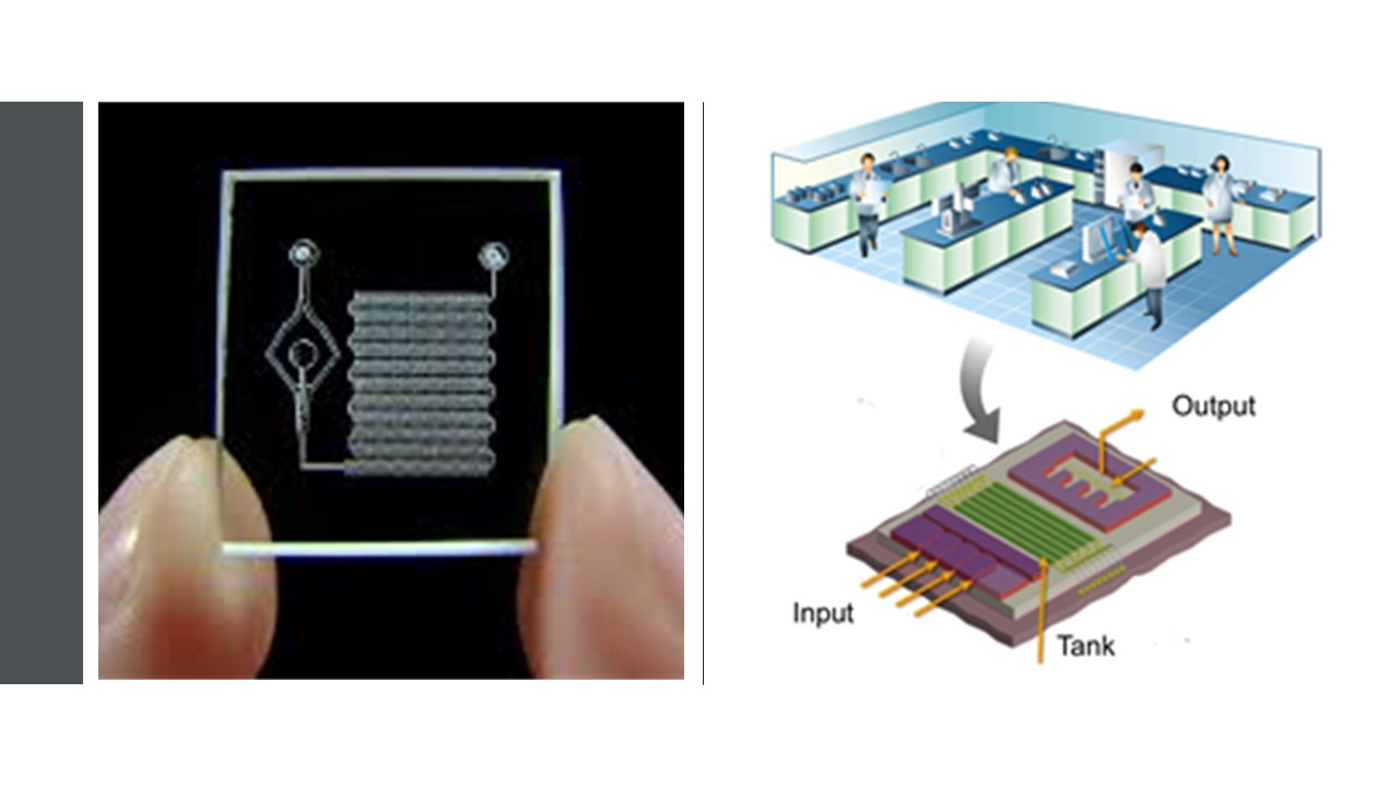lab on a chip, kỹ thuật y sinh