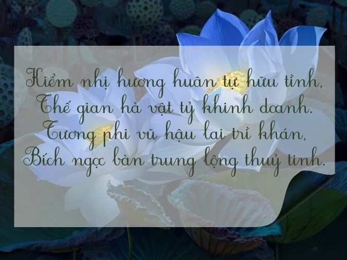 Tuyển tập thơ về hoa sen - biểu tượng của nét đẹp Việt Nam 12