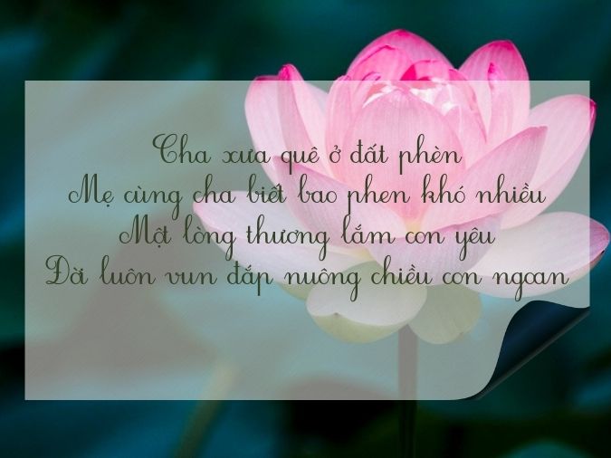 Tuyển tập thơ về hoa sen - biểu tượng của nét đẹp Việt Nam 16