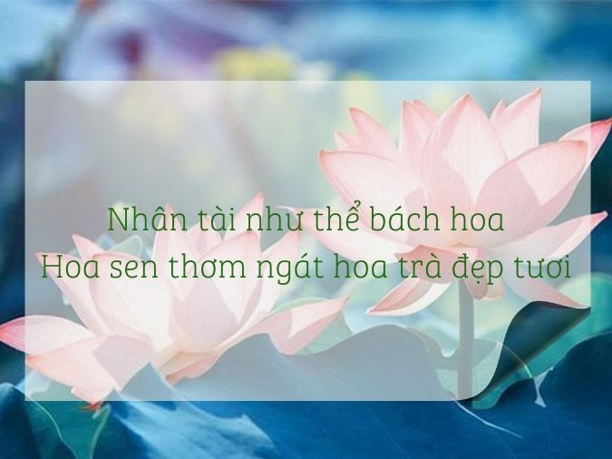 Tuyển tập thơ về hoa sen - biểu tượng của nét đẹp Việt Nam 4