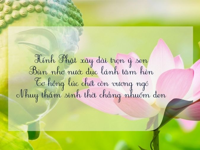 Tuyển tập thơ về hoa sen - biểu tượng của nét đẹp Việt Nam 6