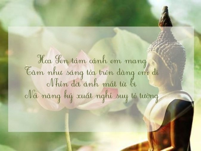 Tuyển tập thơ về hoa sen - biểu tượng của nét đẹp Việt Nam 7