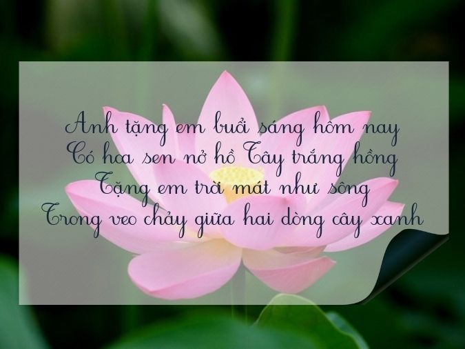 Tuyển tập thơ về hoa sen - biểu tượng của nét đẹp Việt Nam 10