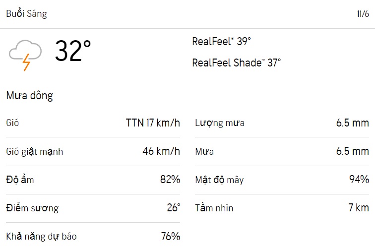 Dự báo thời tiết TPHCM hôm nay 10/6 và ngày mai 11/6/2023: Cả ngày có mưa 4