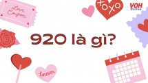 920 là gì? Mật mã 920 tượng trưng cho điều gì trong tình yêu?