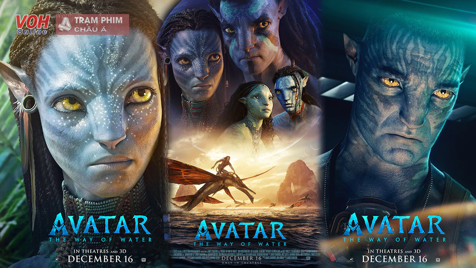 Shvieiart Avatar 2 James Cameron Unveils Poster Metal Tin Sign Vintage Chic  Art Decoration Wall Art